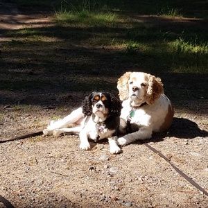 Meet your Posher, Geri